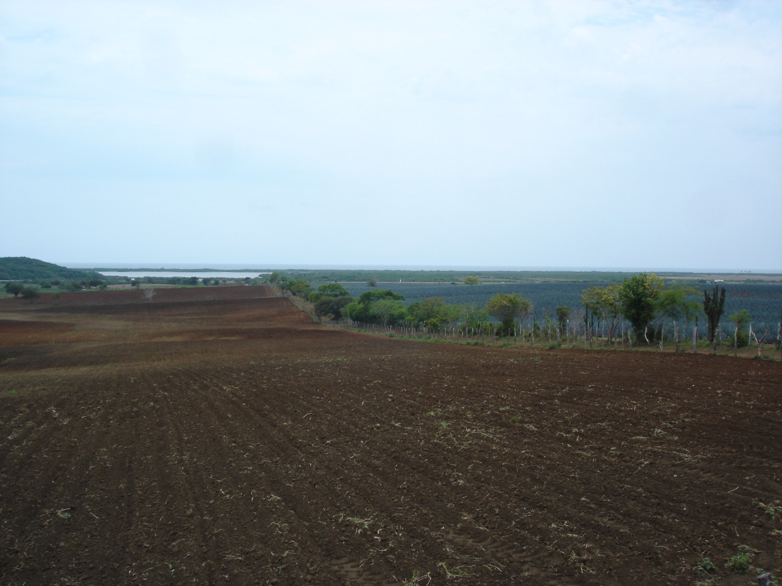 Panorámica del predio